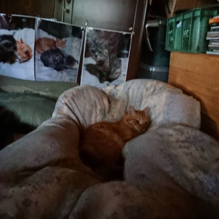 E938ce41 4a90 47dc 8e6e f7a47fd5b071 1659474543116