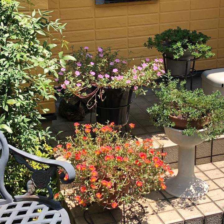 E938e101 3aa9 478d 9407 72456d6c68a3 1599975617905