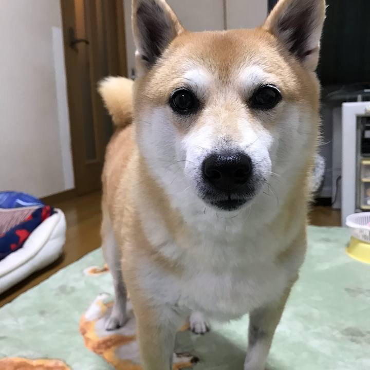 E939016d 157c 4d4f 93bc e8a2aa4df645 1542023536005