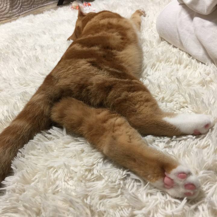 E939154e 60e9 4b31 9e61 a15a5198f111 1509155444339