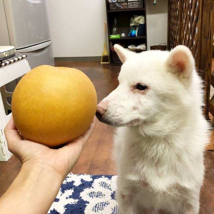 E9395a81 692e 4985 8569 b15ac4ee442c 1573210671586