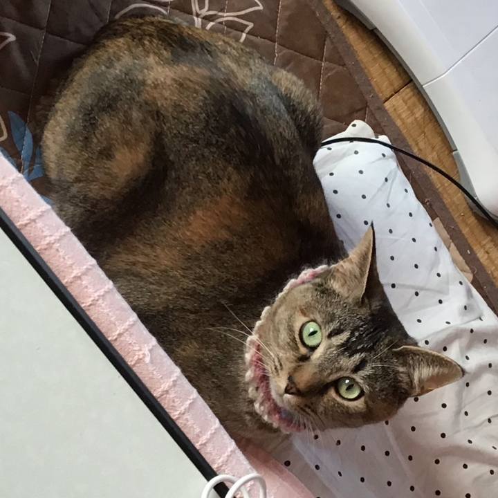 E9396f13 1afe 4f59 9e0f e7aaa950d8e6 1618441838303