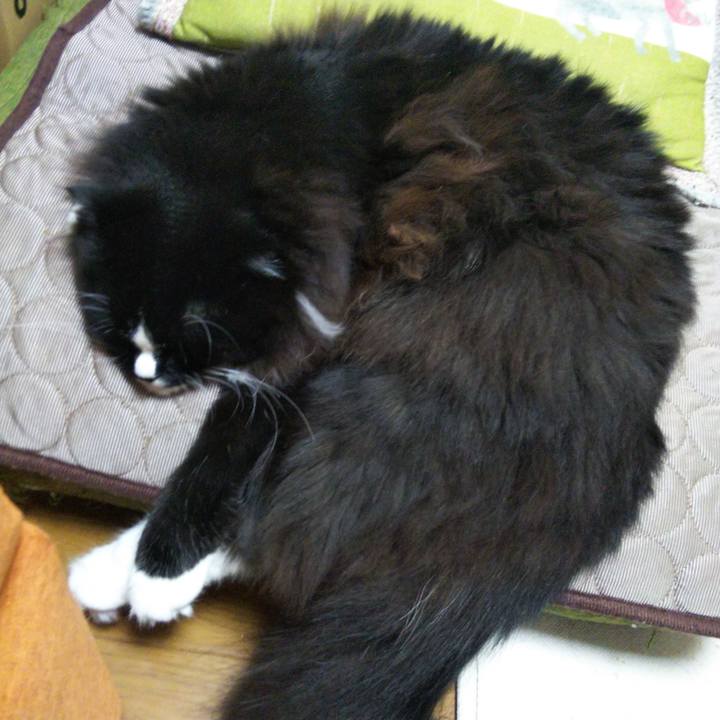 E939827b 8e90 4980 b09e badbf52804a6 1656675700771