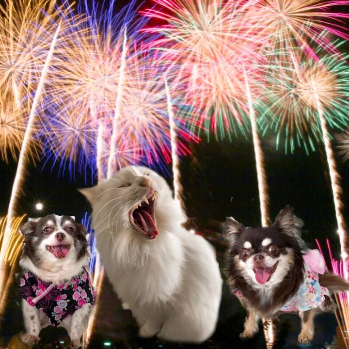 E939a7eb 88b0 49be b113 824a329053c3 1565618478081