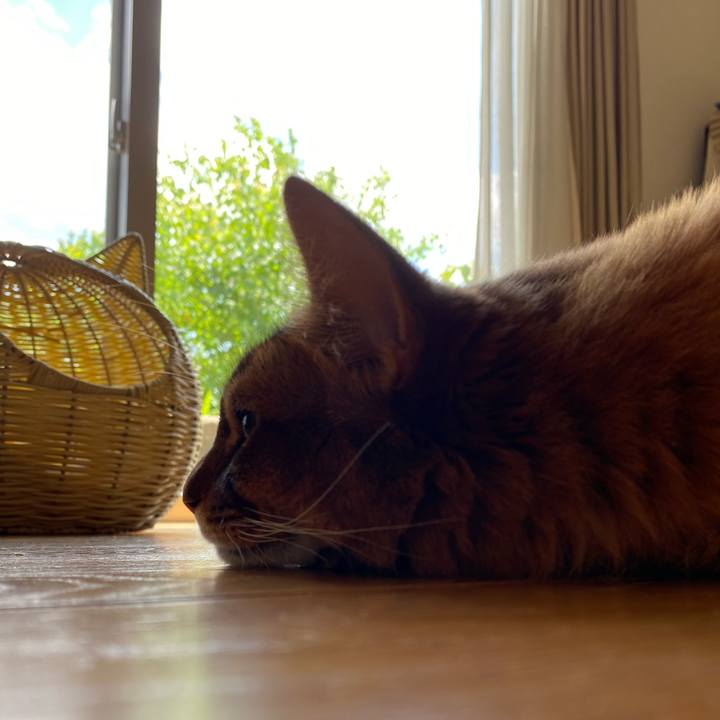 E939c5fe 5def 4b01 aac7 f9716353b345 1658468094337