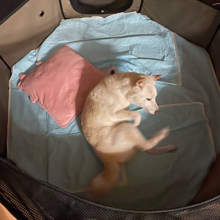 E93a0fb0 2a2b 472d 8038 9a6b9c4f3ab0 1655217779380