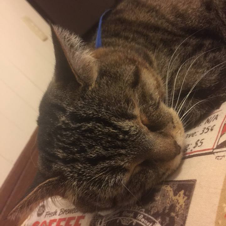 E93a359d c6a1 4dcf a9bb c567c56cdbf3 1559397032579