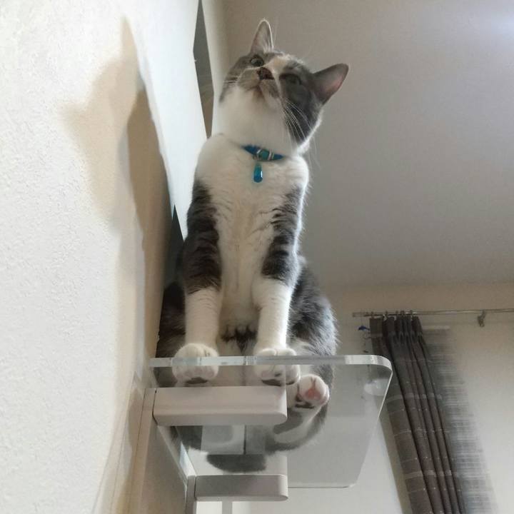 E93a47ad 177d 44b2 b993 20c165d9d0dc 1632307307149