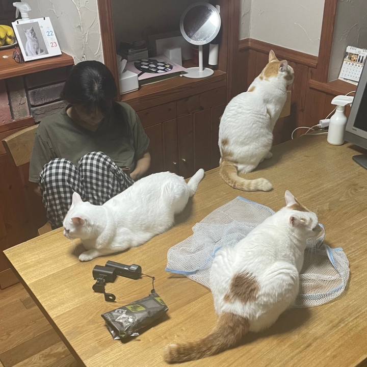 E93a4ebe 1e7c 4a3d a195 36cade377451 1666476092708