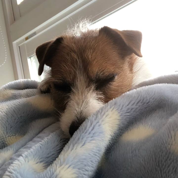 E93a7afd 021b 449f 89c3 d98019c3963b 1578792922028