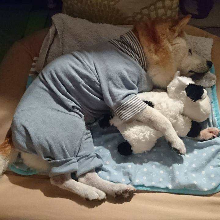 E93a83ba a49d 42a6 90be e53b4f503cf4 1569889918377