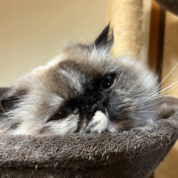 E93aafd8 1db9 4b71 a232 c66b72401bfc 1671724981992