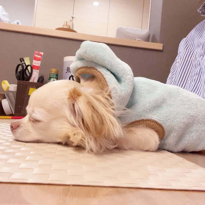 E93abf3f 2050 4b47 8846 8d0184a5682a 1741606150665