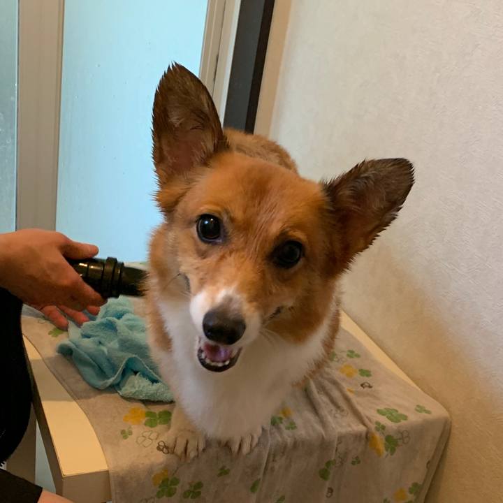 E93abf79 56f0 43b9 aeb4 f9086b4dba8e 1567839621165