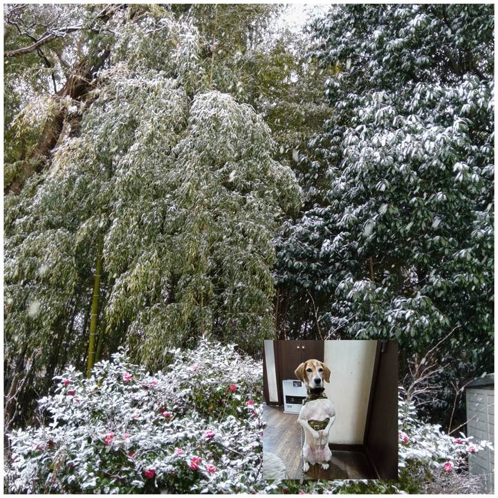 E93ac349 4144 4e7d 80a6 bb5a8e1c76fe 1739970420993