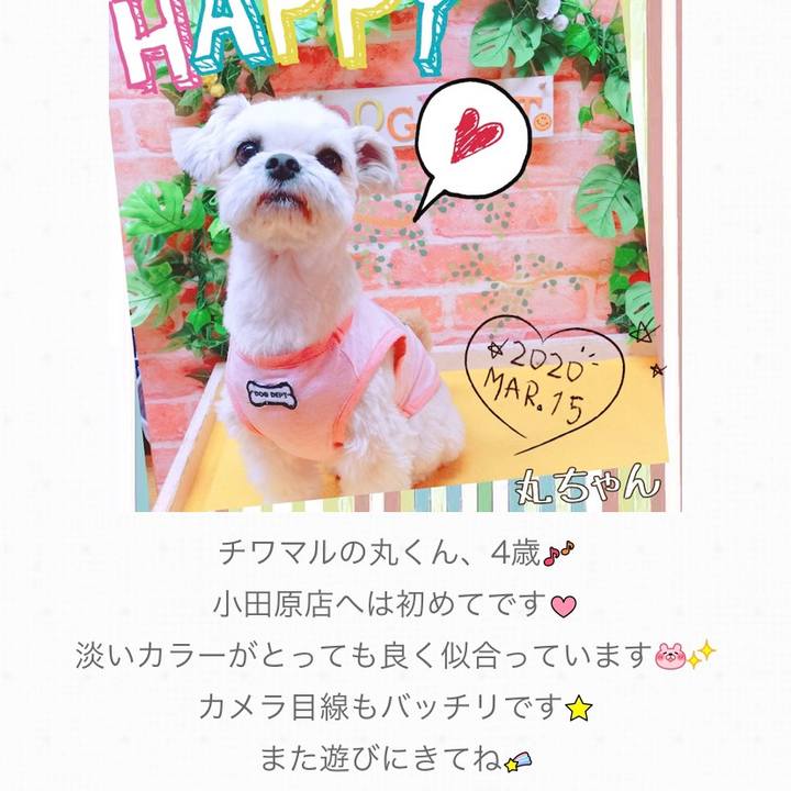 E93b26c5 00e6 4a54 8712 acea50261867 1588087583180