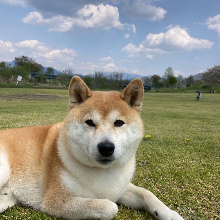 E93b7433 decd 4767 9492 c29a1f5a8ed2 1745638857212