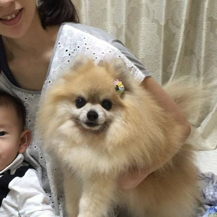 E93b7b3e 1063 40e8 bce4 df2ab09e221f 1631149528667