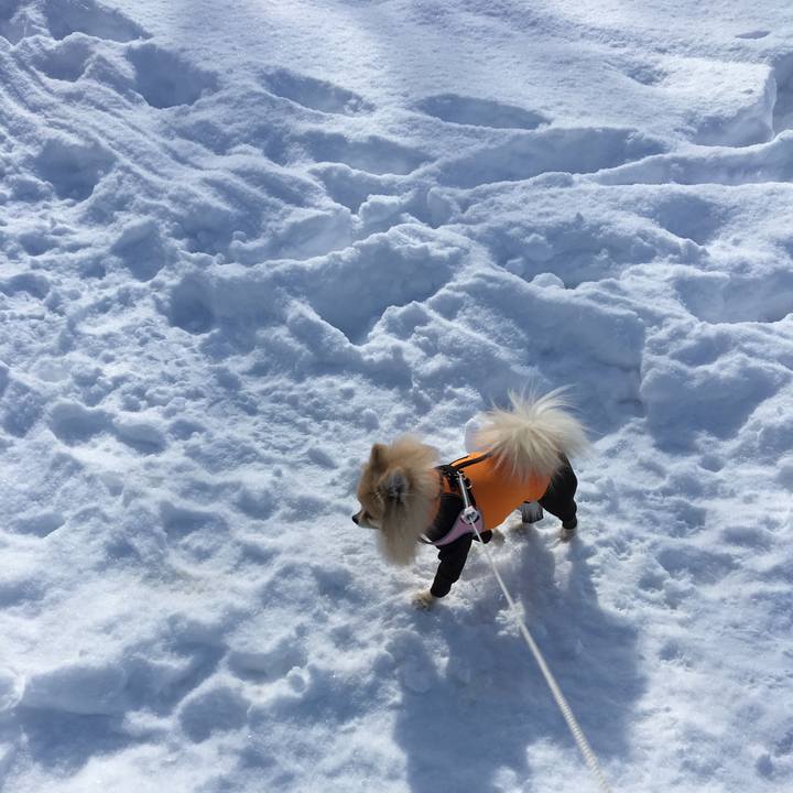 E93ba33a 06d8 4f5d a78c 37ad7e653090 1532646481526