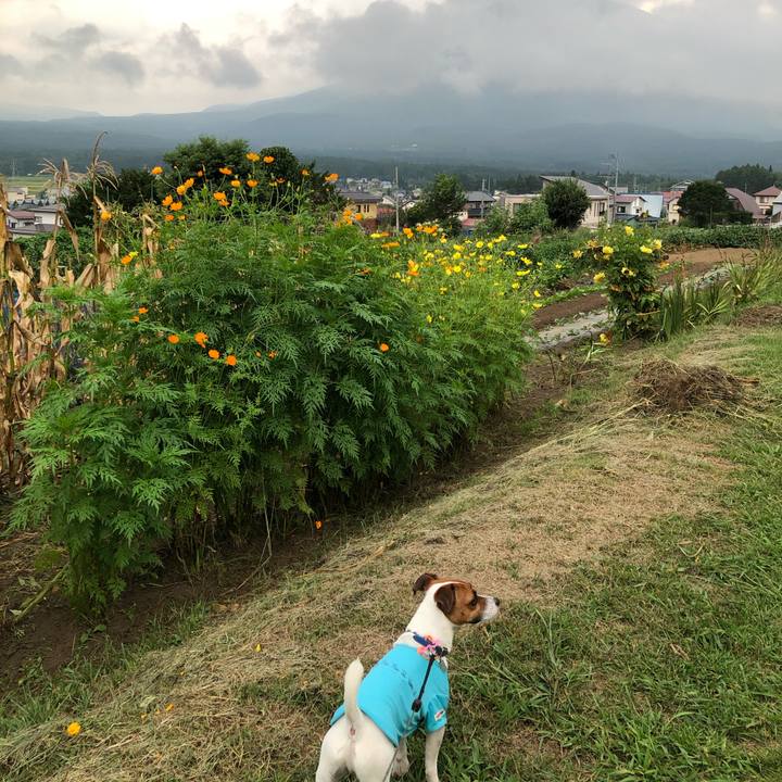 E93bc89d 0623 4662 9d34 bec314e27b28 1599300058874