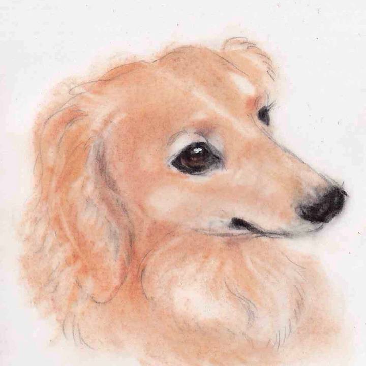 E93bf56f 7389 4543 9a34 8eeb98f85626 1644423408948