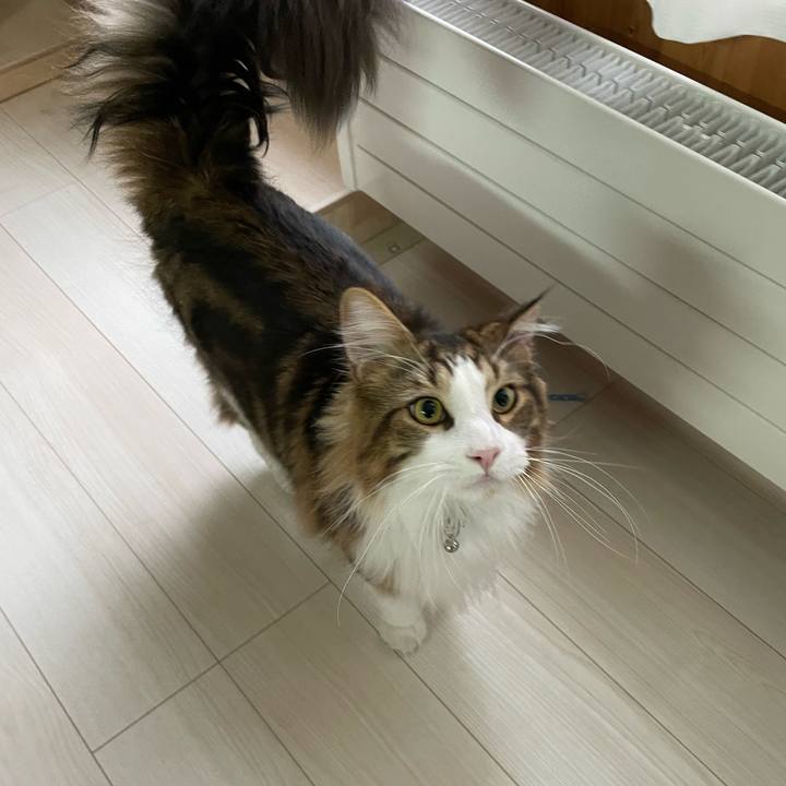 E93c3ce8 17a0 42be b265 1922a652330d 1653595821187