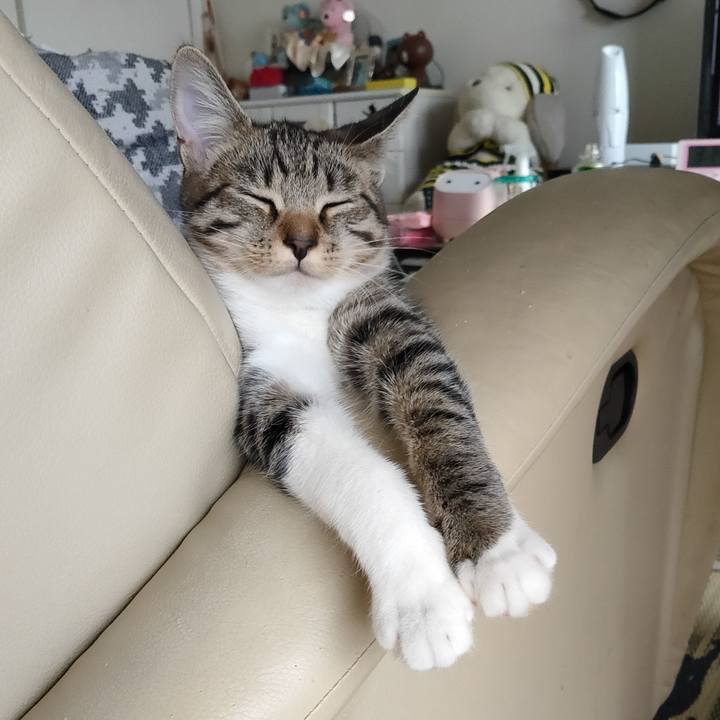 E93c5900 547c 4ffd ad28 27f9ee8b2309 1631859361920