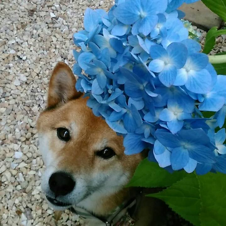 E93c7c4a 2fb8 4304 91bc 77996d310f99 1559548362827