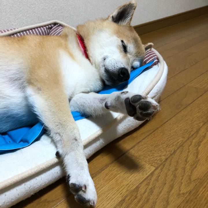 E93cb39d ff7b 470a a07d 95b83bb93324 1597661404067