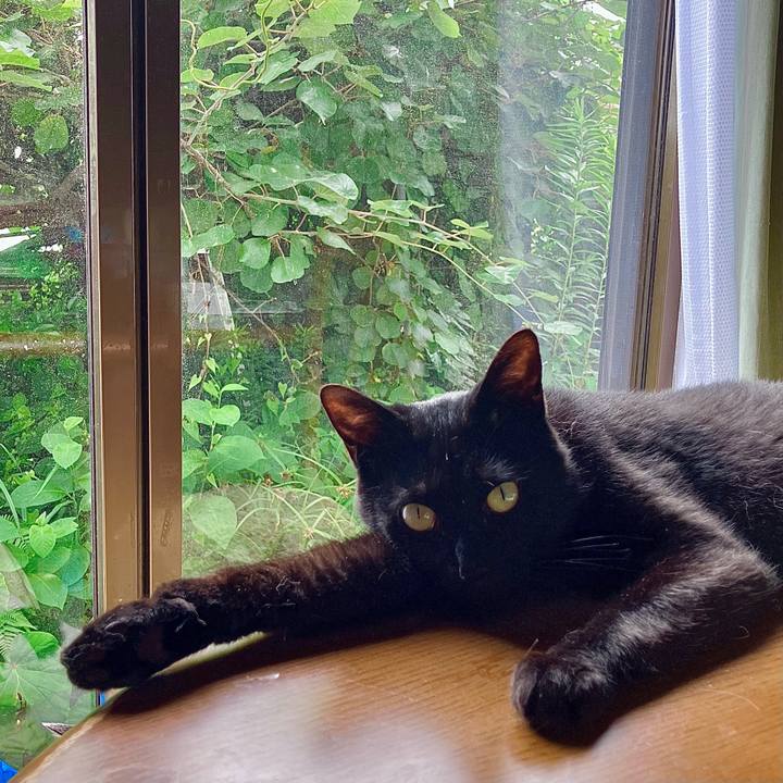 E93cdbcc 3609 4e0b 83f1 ad7367fd8074 1751516481416