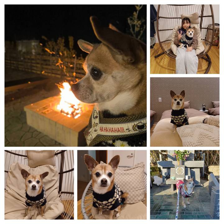 E93cf868 99ac 40b2 9d2d 75cd5012c4b0 1769462558482