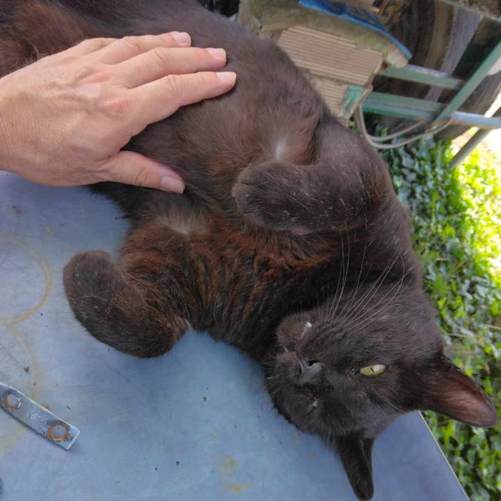 E93d0b9c 4026 46be a0a2 065e2a63597e 1721356421104