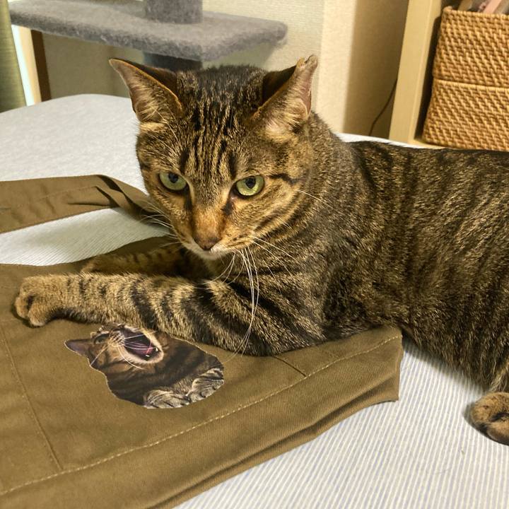 E93d156b 6d38 4900 a142 c94da8f92495 1688465717877