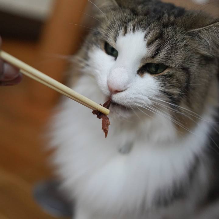 E93d217c 0e33 43f5 a49a fe9656341534 1582352763115