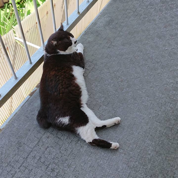 E93d3884 190b 4813 8ea3 6b5cc5603b3c 1653787089777