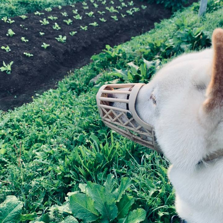 E93d6ea4 e362 41fd a45d ee5ab5f68d2c 1630011935174