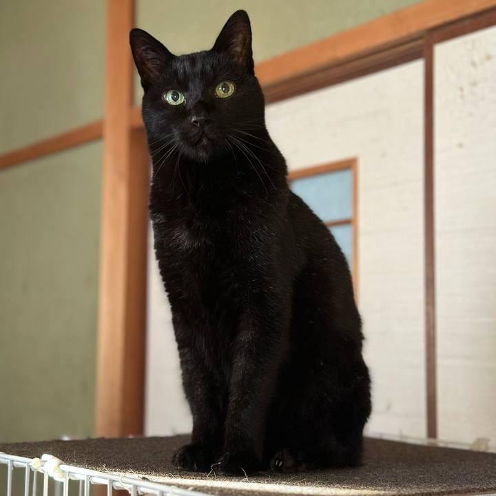 E93d9361 9f6f 4e05 a2f6 ab63d1036fa8 1670899704002