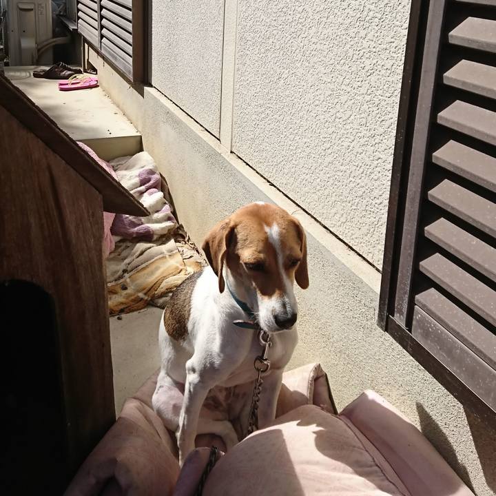 E93db6c9 81c0 43af a446 b7830fea9819 1572413404184