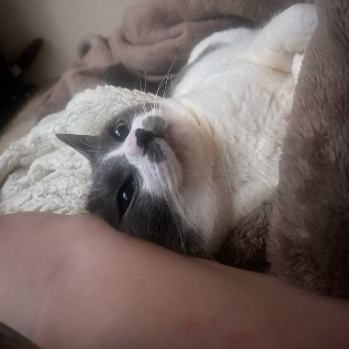 E93dcd8c 8773 414a bc12 e6a009613a5c 1744066725223