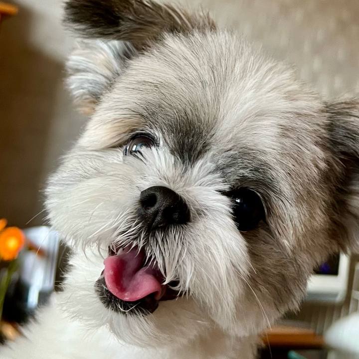 E93ddef5 d3c1 4a3b b6b9 d2f6f0082d28 1728649042331