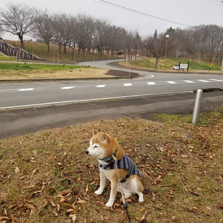 E93df17b d43a 489f 8af7 07721c4db793 1702786216191