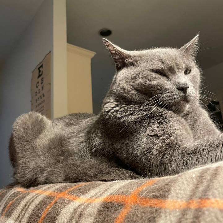 E93df2bc 0417 4db2 a192 7ade62a85c84 1769551188488