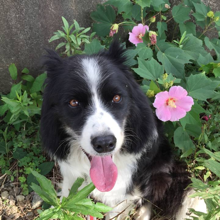 E93dfe7a 289c 442d 96a4 0fa45ba3b650 1569717221730