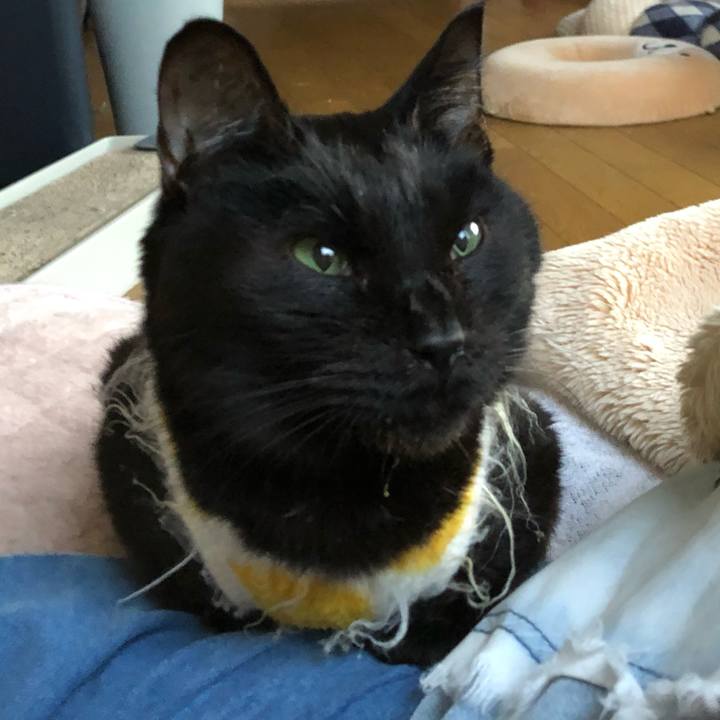 E93e0dd4 50e7 441d bf1f 69bbabdc6690 1556376016106