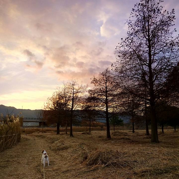 E93e4298 a6ba 4c4d 9976 594a695de992 1513640332557