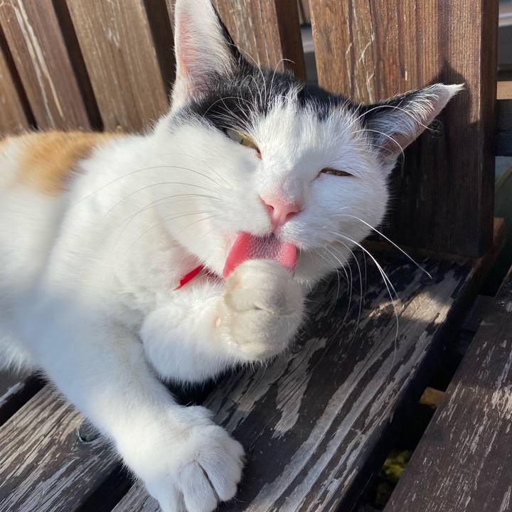 E93e47e1 9489 4641 b943 073b047b61d5 1639568756195