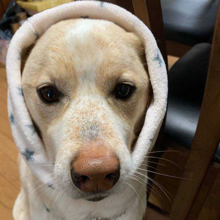 E93e536a bdac 4268 a0f2 d36d0c371995 1556582476922