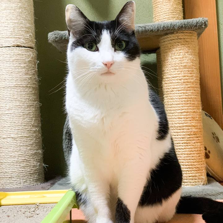 E93e5caf 6cba 4ec7 b649 2dcc172f846c 1582423448631