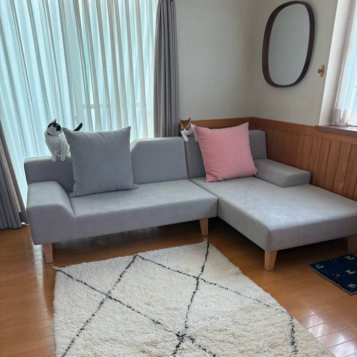 E93e6d4b 264a 49c1 b893 c80c17cb5eea 1763905776540