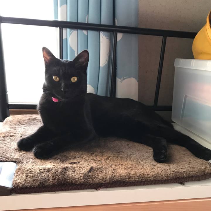 E93e76cb 1386 4b1e 9802 4745012c90a3 1554689124005